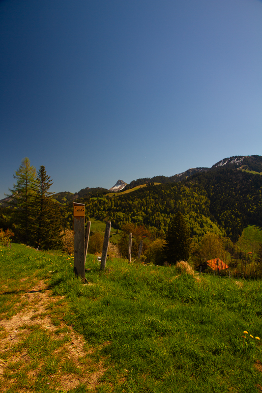 Randonnée - Circuit des Biches