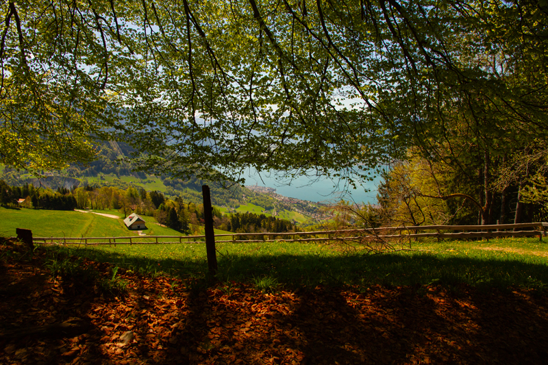 Randonnée - Circuit des Biches