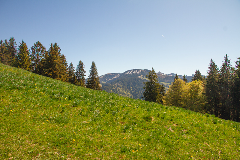 Randonnée - Circuit des Biches