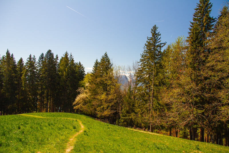 Randonnée - Circuit des Biches
