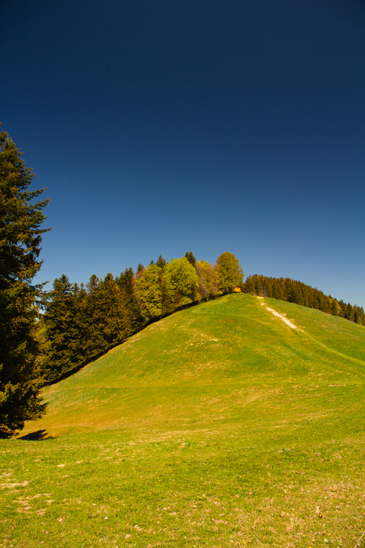 Randonnée - Circuit des Biches