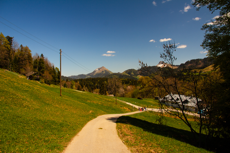 Randonnée - Circuit des Biches