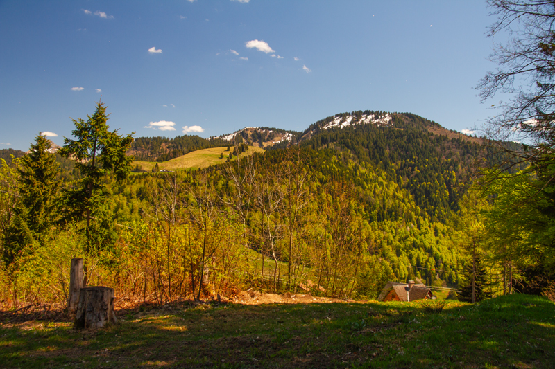 Randonnée - Circuit des Biches