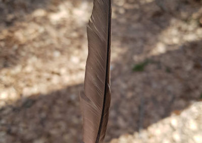 Plumes en vrac
