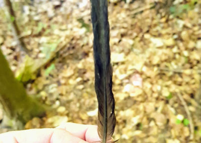 Plumes en vrac