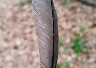 Plumes en vrac