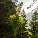 Randonnée - Bisse du Rho