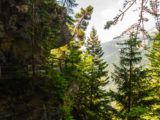 Bisse du Rho