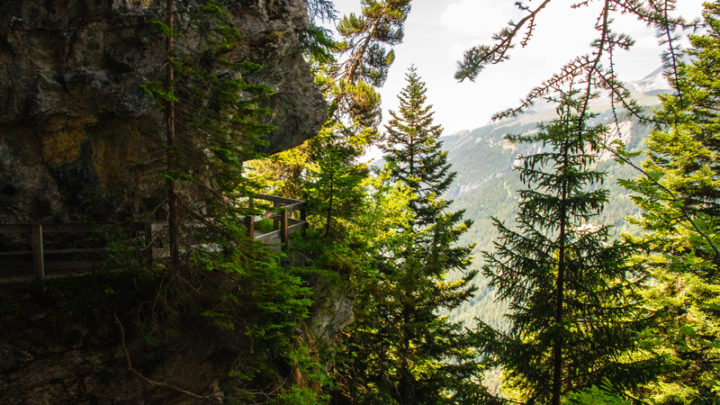 Bisse du Rho