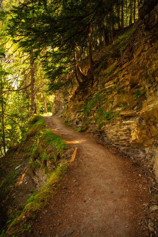 Randonnée - Bisse du Rho