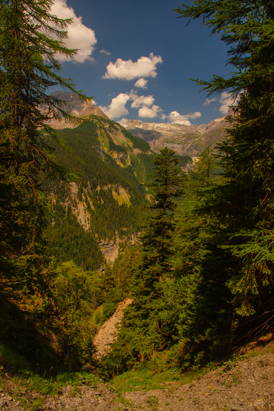 Randonnée - Bisse du Rho