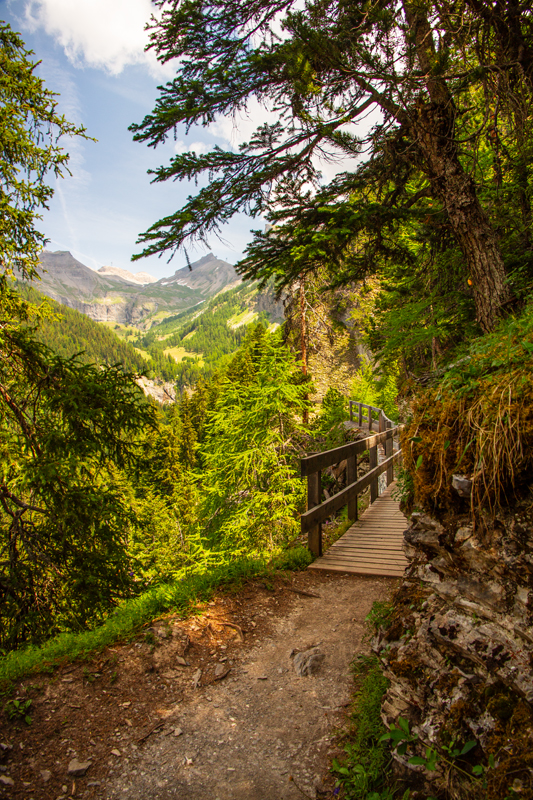 Randonnée - Bisse du Rho