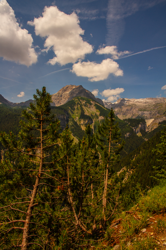 Randonnée - Bisse du Rho
