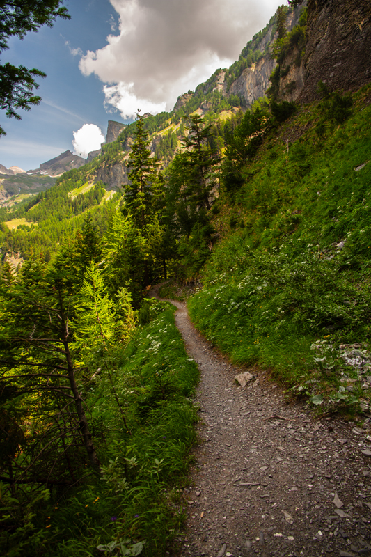Randonnée - Bisse du Rho