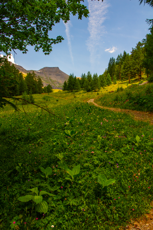Randonnée - Bisse du Rho