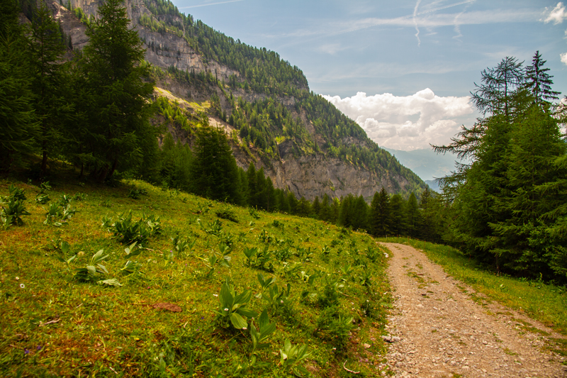 Randonnée - Bisse du Rho