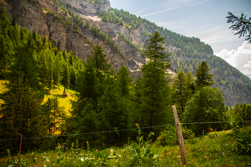 Randonnée - Bisse du Rho