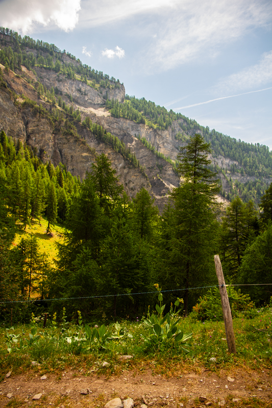 Randonnée - Bisse du Rho