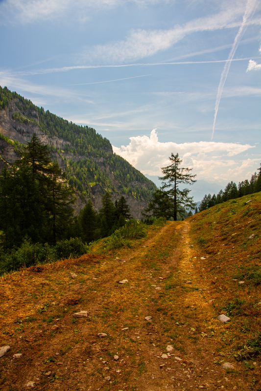 Randonnée - Bisse du Rho