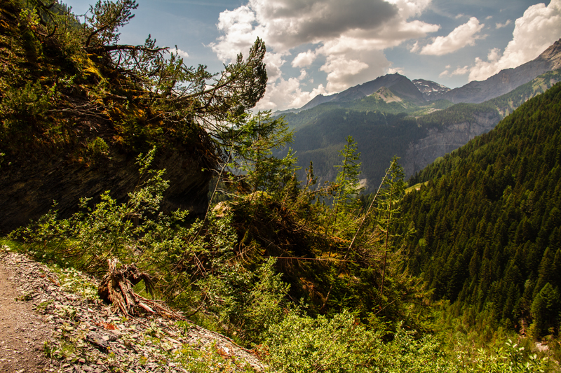 Randonnée - Bisse du Rho