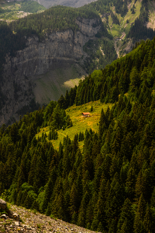Randonnée - Bisse du Rho
