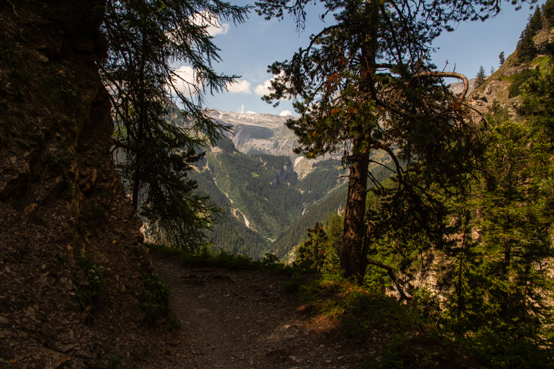 Randonnée - Bisse du Rho