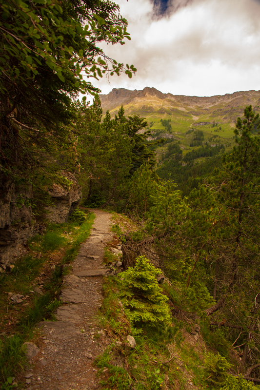 Randonnée - Bisse d’Ayent (tronçon désaffecté)
