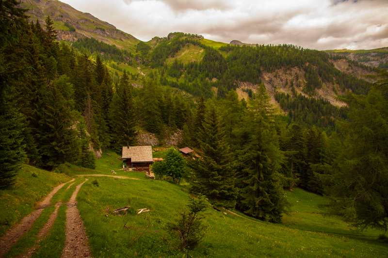 Randonnée - Bisse d’Ayent (tronçon désaffecté)