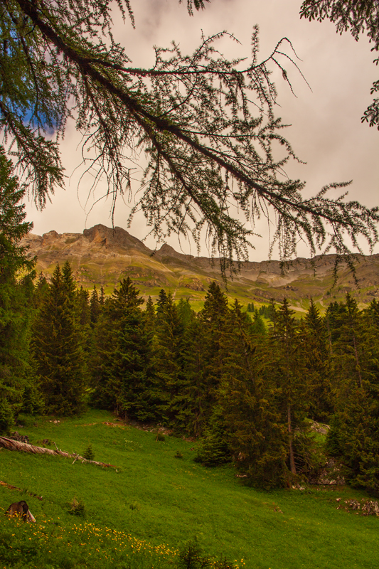 Randonnée - Bisse d’Ayent (tronçon désaffecté)