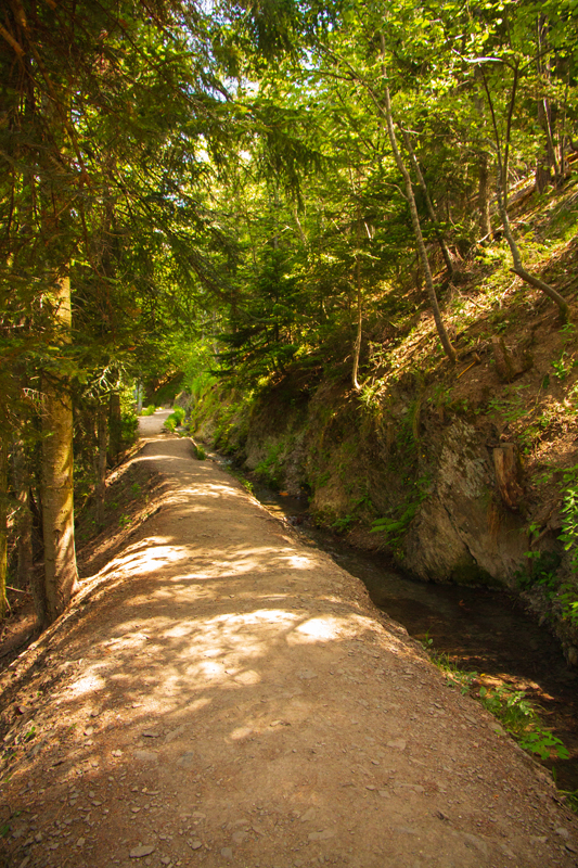 Randonnée - Bisse de Savièse, ou Torrent-Neuf