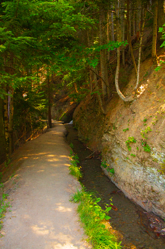 Randonnée - Bisse de Savièse, ou Torrent-Neuf