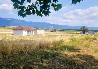 Visite - Mosaïques romaines de Boscéaz