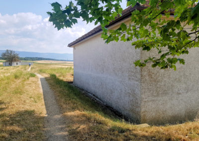 Visite - Mosaïques romaines de Boscéaz