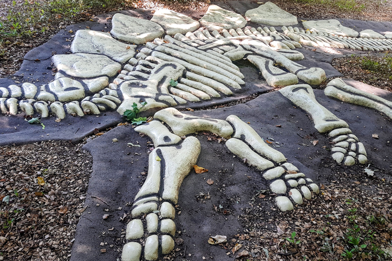 Visite - Dino-Zoo
