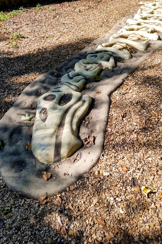 Visite - Dino-Zoo