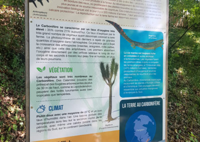 Visite - Dino-Zoo - chemin didactiques