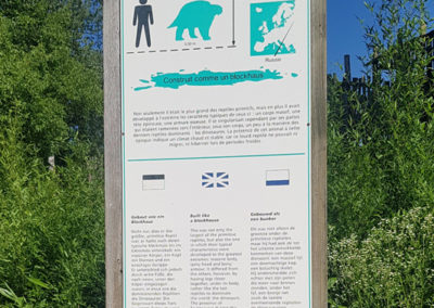 Visite - Dino-Zoo - chemin didactiques