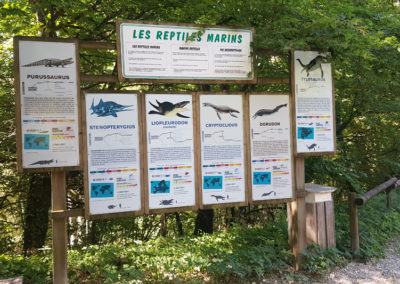 Visite - Dino-Zoo - chemin didactiques