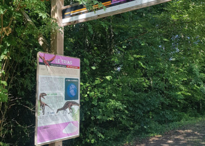 Visite - Dino-Zoo - chemin didactiques