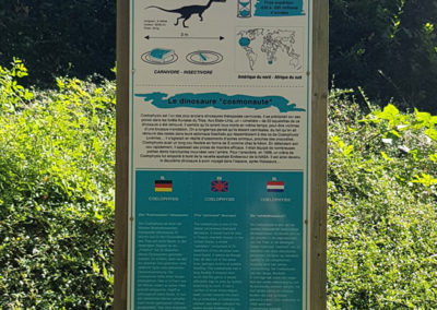 Visite - Dino-Zoo - chemin didactiques