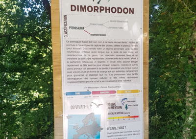 Visite - Dino-Zoo - chemin didactiques