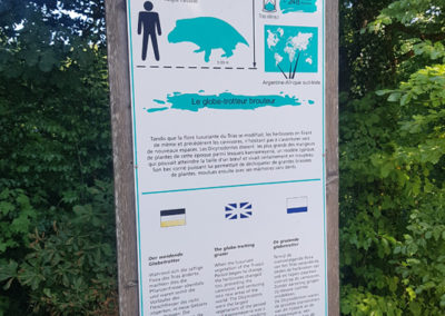 Visite - Dino-Zoo - chemin didactiques