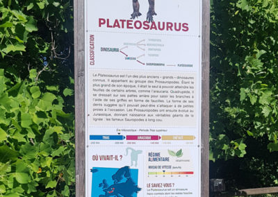 Visite - Dino-Zoo - chemin didactiques