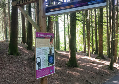 Visite - Dino-Zoo - chemin didactiques