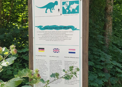 Visite - Dino-Zoo - chemin didactiques