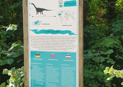 Visite - Dino-Zoo - chemin didactiques