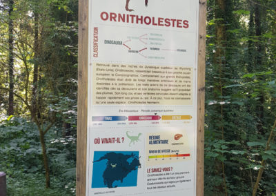 Visite - Dino-Zoo - chemin didactiques