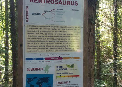 Visite - Dino-Zoo - chemin didactiques