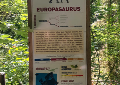 Visite - Dino-Zoo - chemin didactiques
