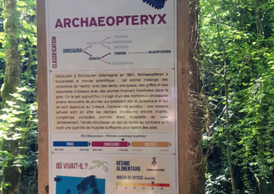Visite - Dino-Zoo - chemin didactiques